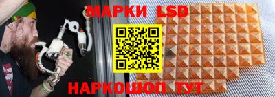 spice Краснодар