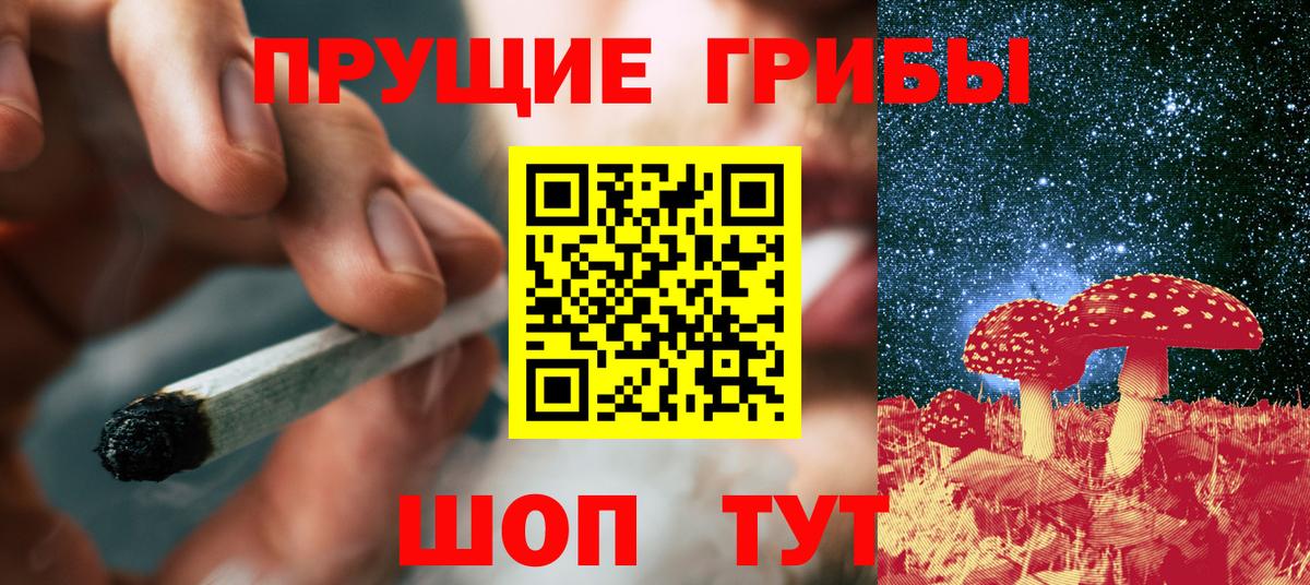 хочу   Галлюциногенные грибы мицелий  Вход с VPN  Элиста 